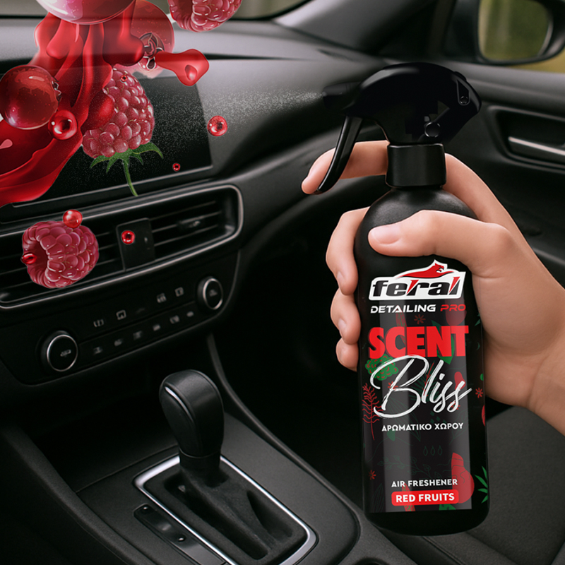 Desodorisant parfumé auto SCENT BLISS-1