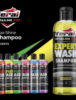 EW189 Shampoing EXPERT WASH-3