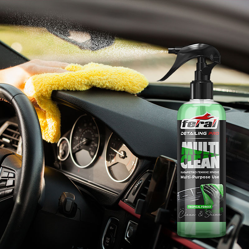 Rear view of a young man using detergent for and microfiber clot